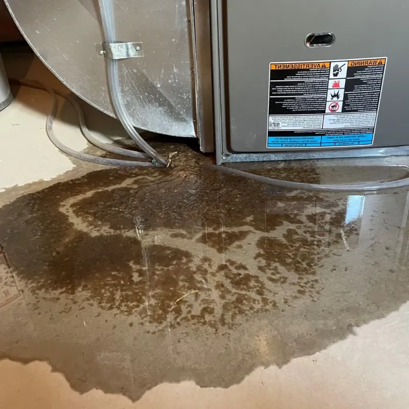 Pipe Burst and Leak Restoration in Bonneville County, ID